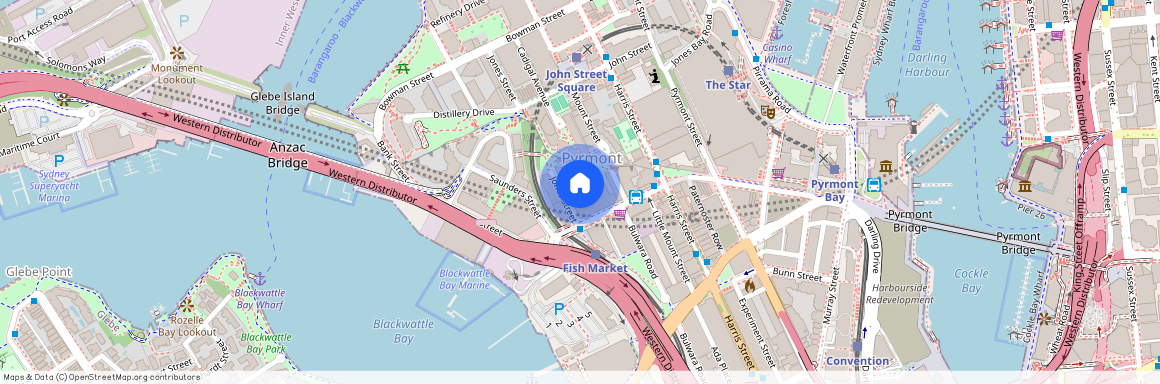 276/102 MILLER STREET, NSW 2009, Pyrmont