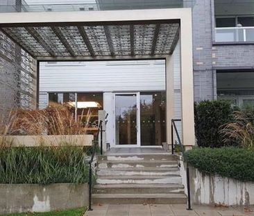 Vancouver West Bright 1Br 1Den Modern Condo Near Skytrain For rent!! - Photo 4