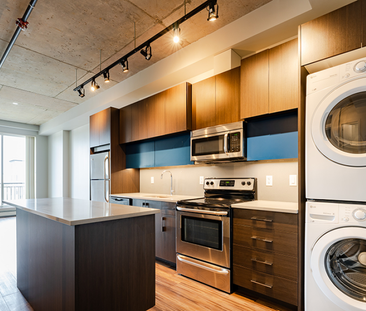 Vibe Lofts - Photo 4