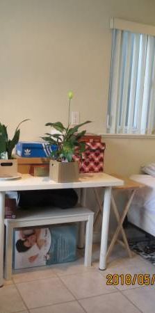 $800 / 1br - fully furnished on main floor, steps to UBC bus, Langara - Photo 1