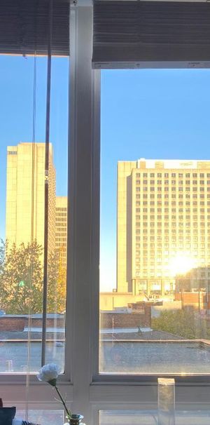 Grand / Big “ 4 1/2 “ au centre ville/ in downtown - Photo 1