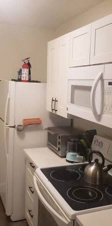 One bedroom suite near UVIC - Feb 15th or March 1st - Photo 1