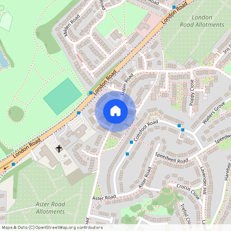 Lupin Road, Ipswich, IP2