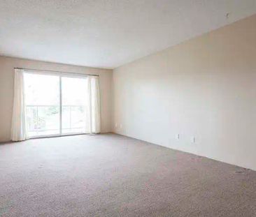 Mayfair Manor Apartments — 1 Bedroom available at 827 Selkirk Avenu... - Photo 1