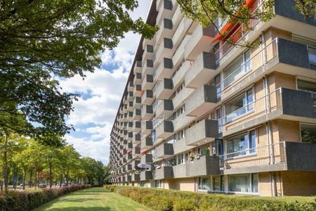 Te huur: Appartement Thomas Jeffersonlaan 561 in Rijswijk - Photo 3