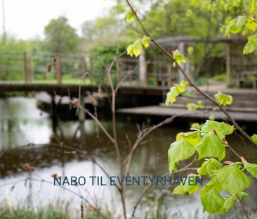 Skøn 3 værelses lejlighed til leje - Photo 5