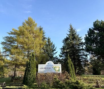 For Lease - 18 Hickory Street, Collingwood, Ontario - Photo 5