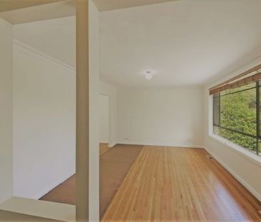 78 Pennefather Street, Higgins ACT 2615 - House For Rent | Domain - Photo 4