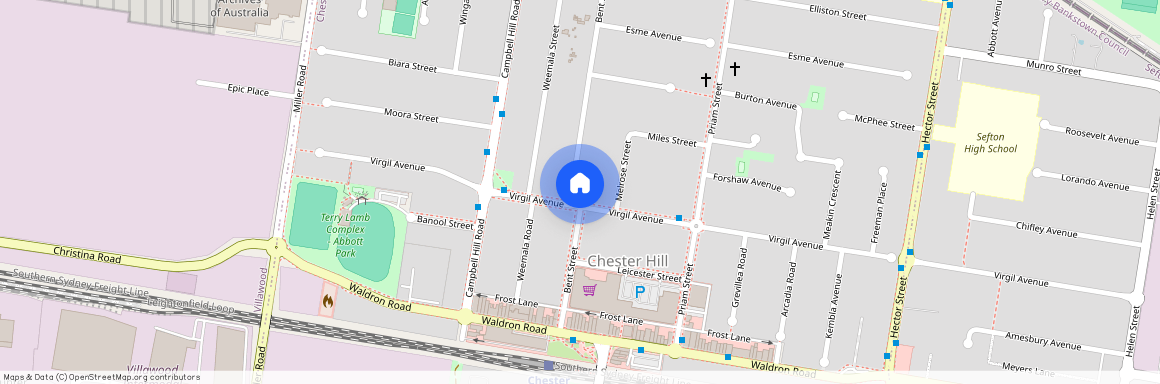 146 Virgil Avenue, Chester Hill NSW 2162