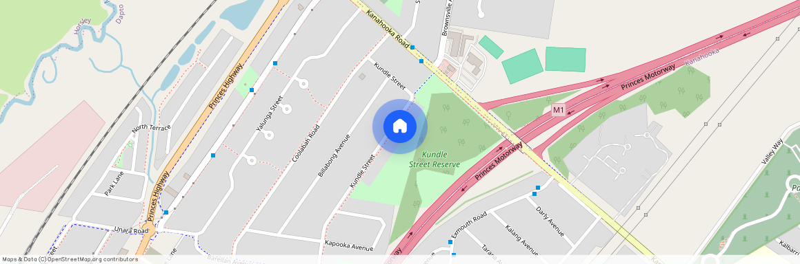 29 Kundle Street, NSW 2530, Dapto