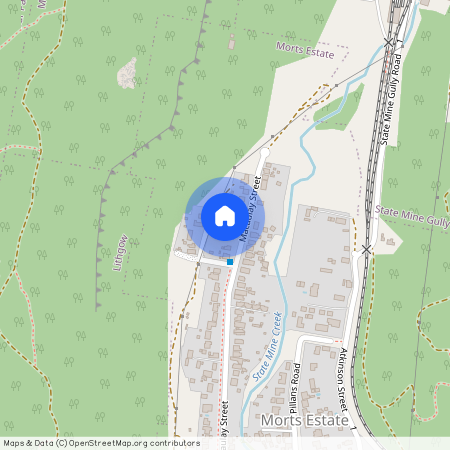 142 Macaulay Street, Morts Estate, NSW, 2790