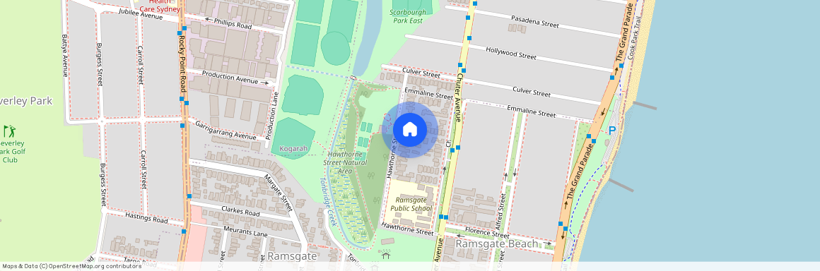 8 Hawthorne street, NSW 2217, Ramsgate