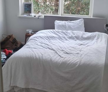 Elwood - Photo 2