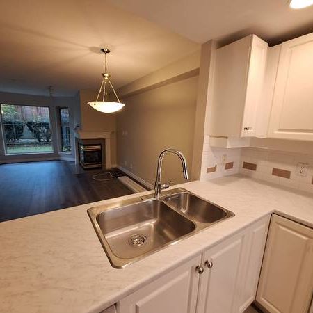 Spacious NEWLY Renovated 1 Bedroom with Private Terrace - Photo 4