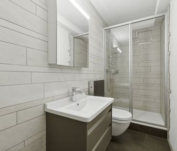 Pour les célibataires dans le développement de Liebrüti - Photo 3