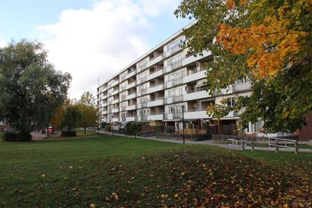 Trädgårdsgatan 50 E - Foto 4