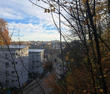 Fribourg - Studio - Photo 3