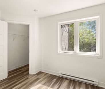 162 Rue Louise - Photo 1