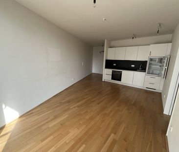 BelView Apartments: 2-Zimmer-Wohung mit kleinem Balkon im 11. Stock... - Photo 2