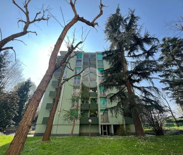 Trilocale in affitto - Photo 3