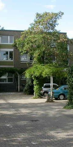 Demnächst frei! 3-Zimmer-Wohnung in Düsseldorf Garath - Foto 2