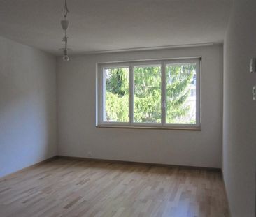 Naherholung mit städtischen Vorzügen | Direkt an der Limmat - Photo 5