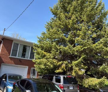 For Lease - 32 Gale Crescent, St. Catharines, Ontario - Photo 3