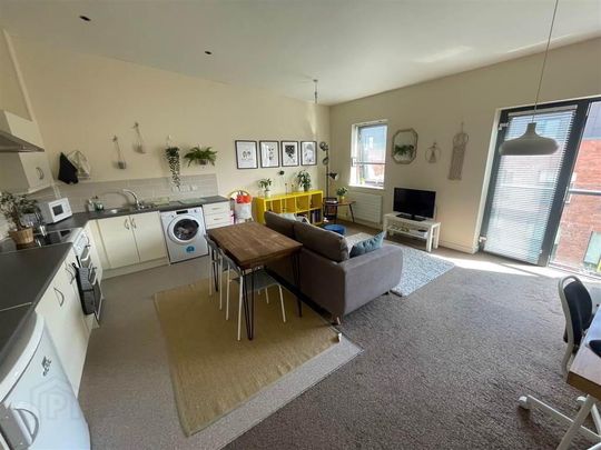 Skainos Square, 206 Skainos Apartments, Newtownards Road, Belfast, BT4 1AF - Photo 1