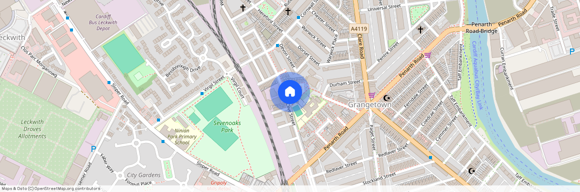North Clive Street, Grangetown. Cardiff. cf11 6nr