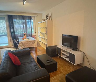 2.5 Zimmer, 55 m² - Photo 5