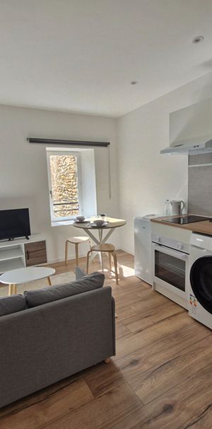 Location Appartement 1 pièce 21m² - Photo 1