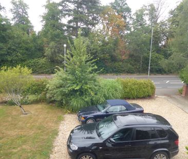 1 bedroom semi-detached house to rent - Photo 1