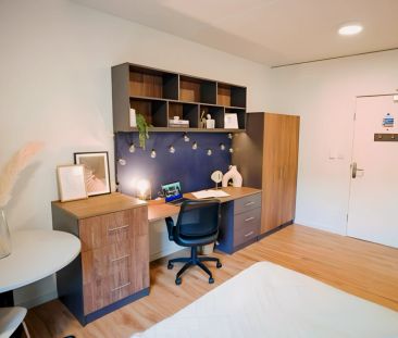 Luxury Studio - Photo 3