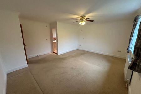 Brandon, Sedge fen - Photo 2