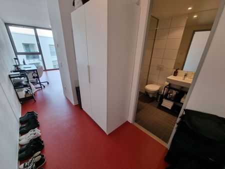 Trier-Tarforst: Lichtdurchflutetes Appartement mit 25,74 m² WFL nähe Universität - Foto 5