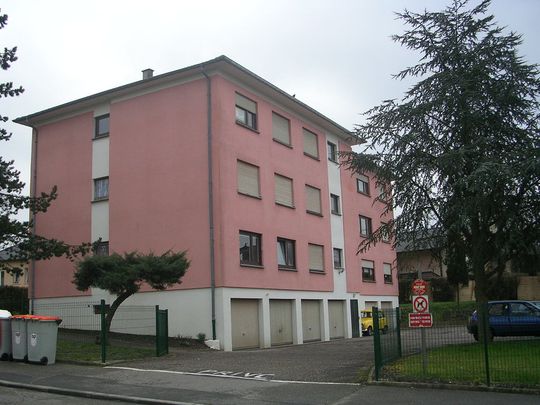 Location Appartement 1 pièce 22m² SARREGUEMINES 57200 - Photo 1