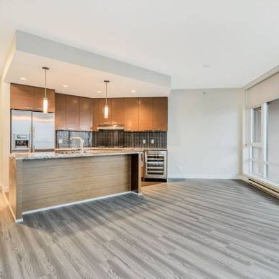 Metrotown luxury large 1 bedroom - Photo 4