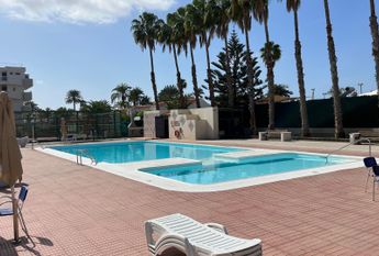 Luxury Renovated Flat in the heart of Playa