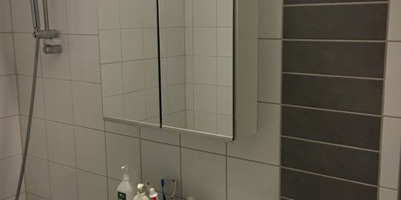 Von Lingens Väg, Malmö - Photo 3