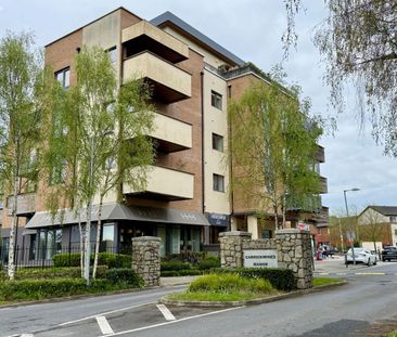 9 The Rise, Carrickmines Manor, Carrickmines, Dublin 18 - Photo 1