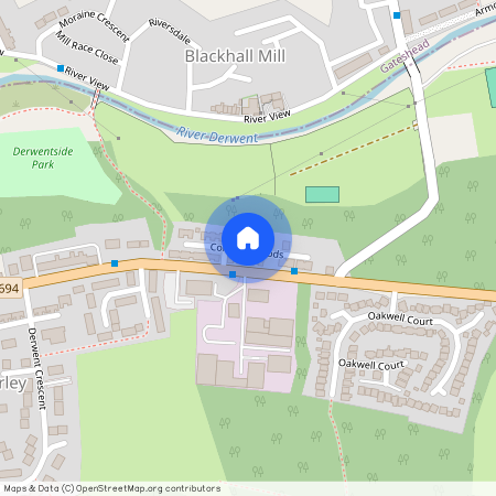 Coltpark Woods, Hamsterley Colliery