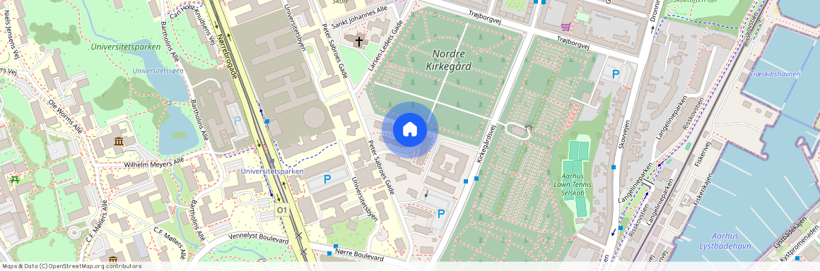 Peter Sabroes Gade 14N, 1. lejl. tv, 8000 Aarhus C