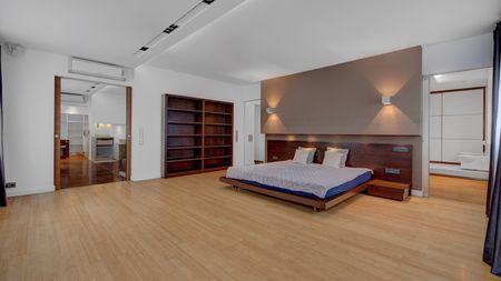 Przestronny apartament typu garsoniera Pl. Zawiszy - Zdjęcie 5