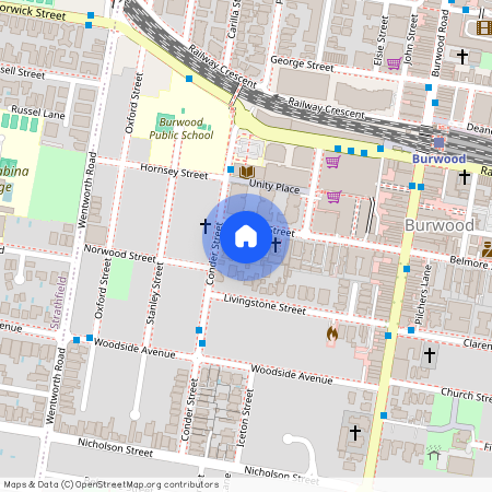 54 Belmore St, NSW 2134, Burwood