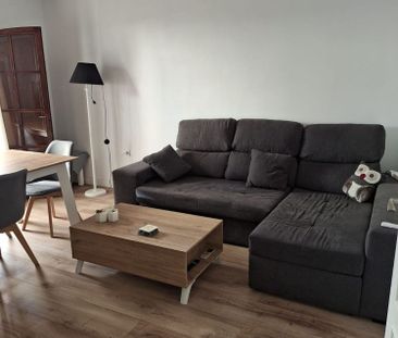 Alquiler de piso en Centro-San Felipe-Huerta Fava - Foto 1