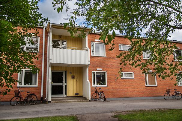 Ankarskatavägen 75 A, 94134, Piteå - Photo 1