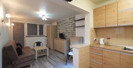 Sosnowiec, Centrum Mieszkanie na wynajem - Zdjęcie 3