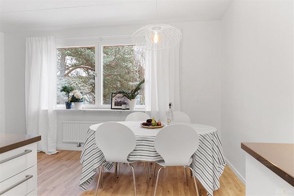 Senapsgatan 5 - Foto 1