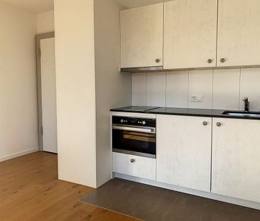 1 PIÈCES - Au calme ! - Photo 4