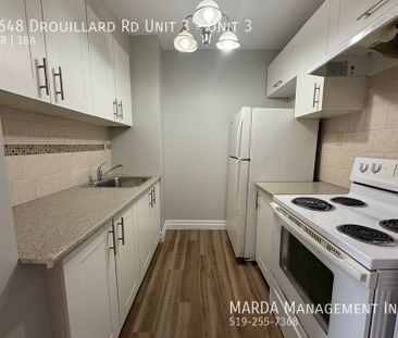 RENOVATED 1-BEDROOM/1-BATH MAIN FLOOR SUITE ON DROUILLARD+HYDRO - Photo 4